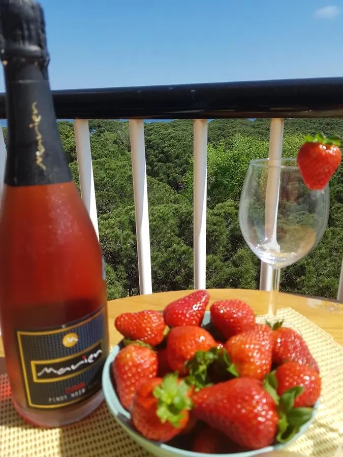 Apartamento En La Torre De S'Abanell Apartment Blanes
